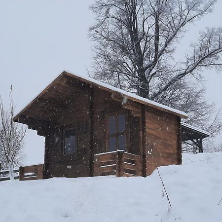 Cottage Bara Božanov Buitenkant foto