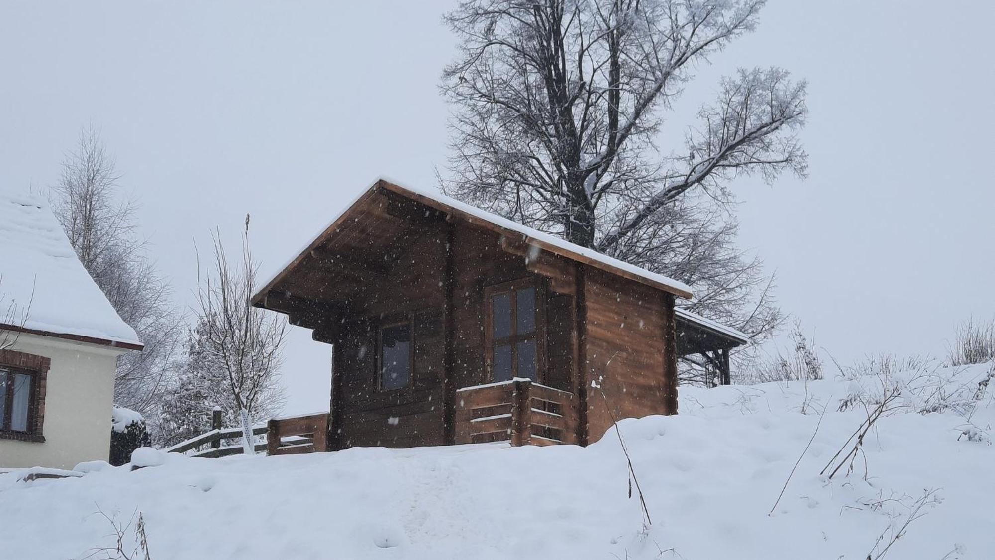 Cottage Bara Božanov Buitenkant foto